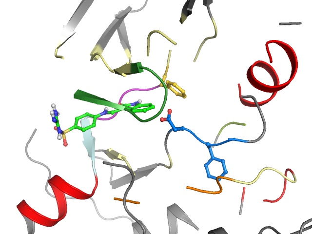 The orthosteric binding pocket