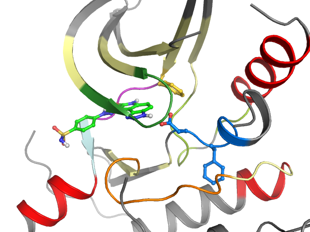 The orthosteric binding pocket