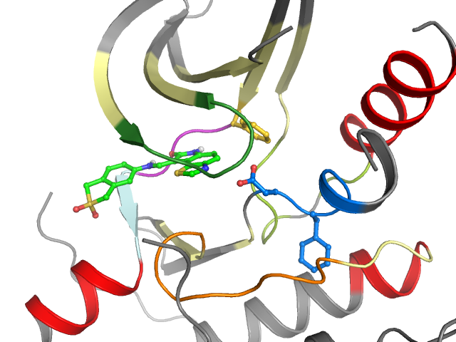 The orthosteric binding pocket