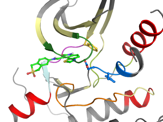 The orthosteric binding pocket