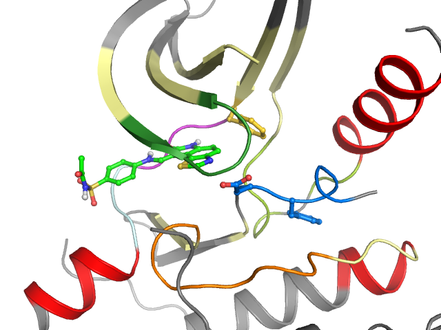 The orthosteric binding pocket