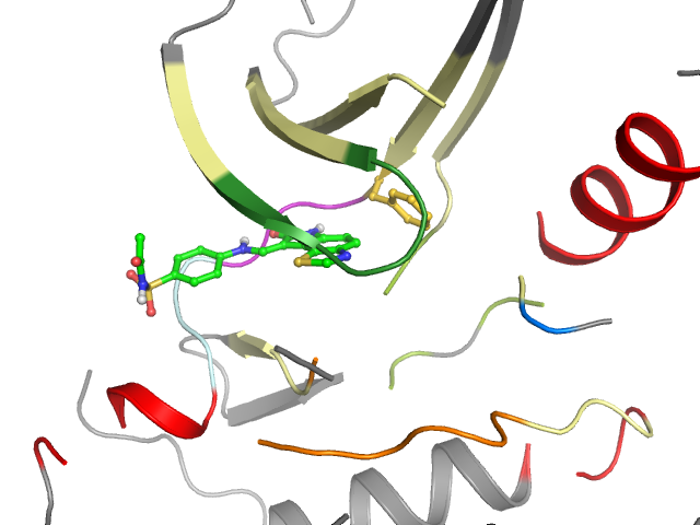 The orthosteric binding pocket