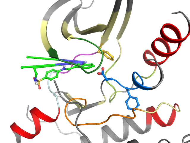 The orthosteric binding pocket