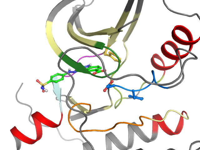 The orthosteric binding pocket