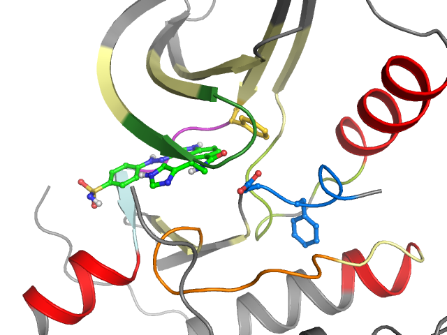 The orthosteric binding pocket