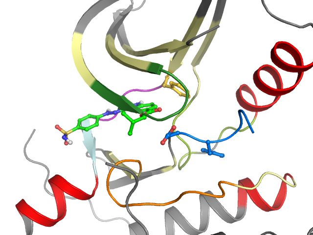 The orthosteric binding pocket