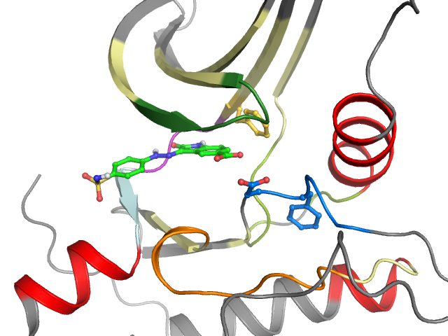The orthosteric binding pocket