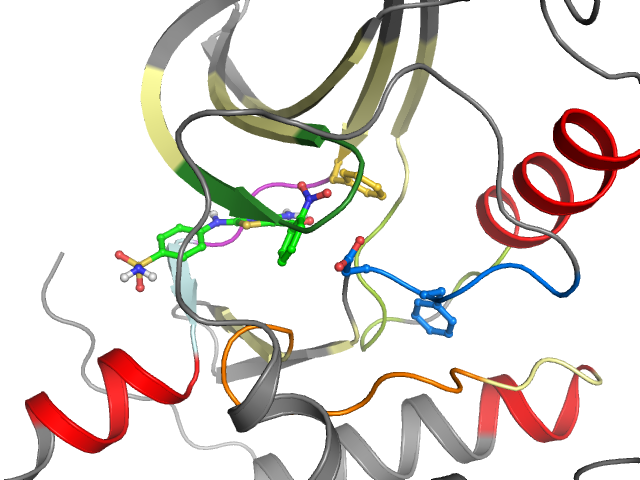 The orthosteric binding pocket