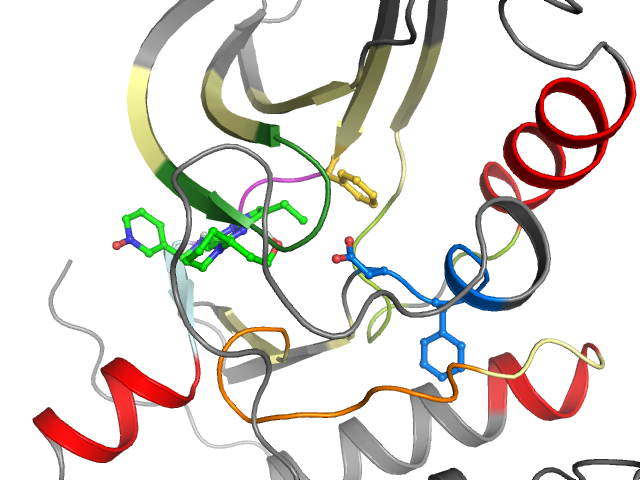 The orthosteric binding pocket
