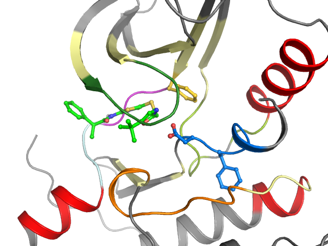 The orthosteric binding pocket