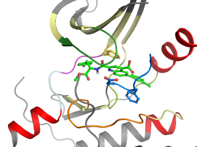 The orthosteric binding pocket
