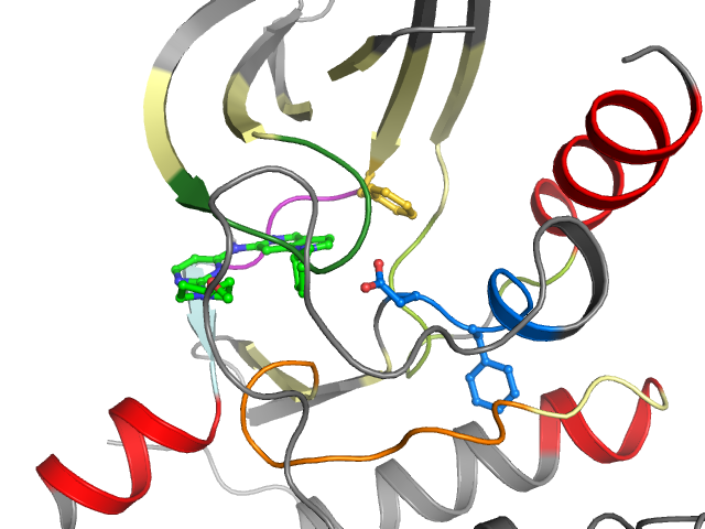 The orthosteric binding pocket