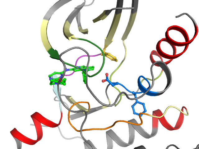 The orthosteric binding pocket