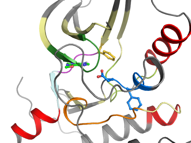 The orthosteric binding pocket