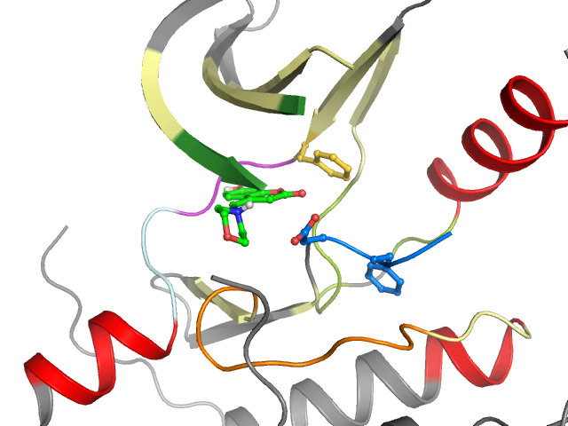 The orthosteric binding pocket