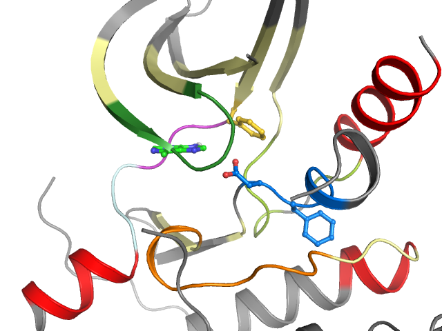 The orthosteric binding pocket