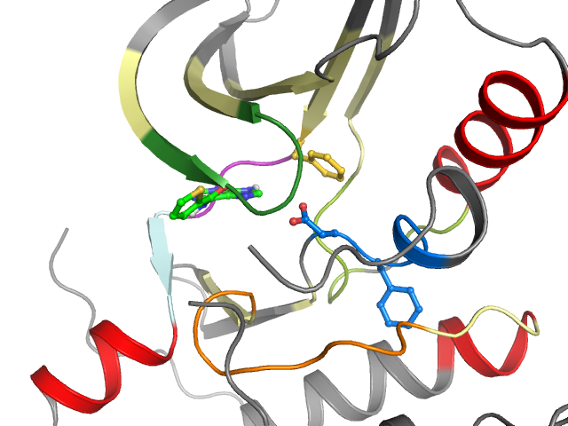 The orthosteric binding pocket