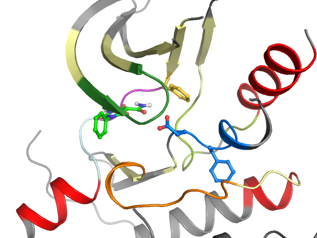 The orthosteric binding pocket