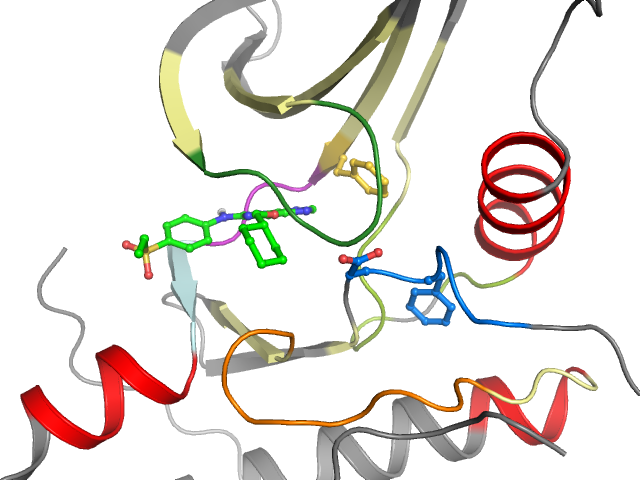 The orthosteric binding pocket