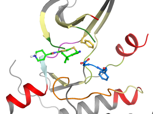 The orthosteric binding pocket