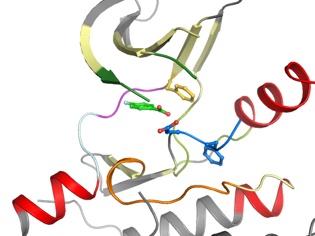 The orthosteric binding pocket