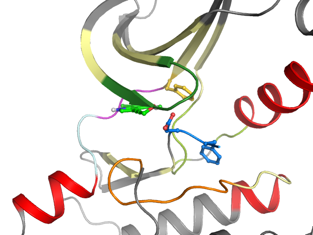 The orthosteric binding pocket