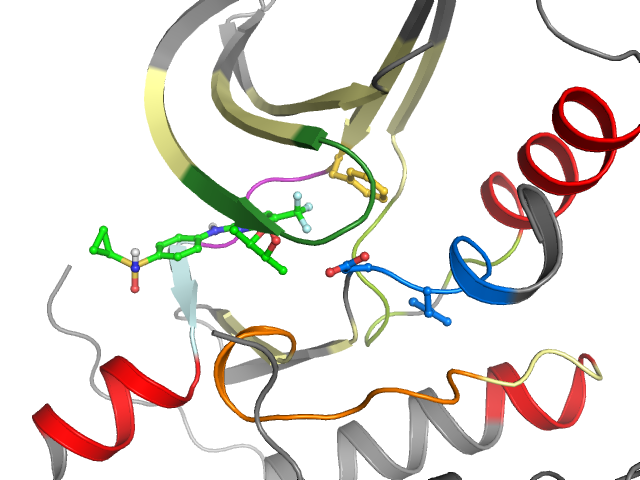The orthosteric binding pocket