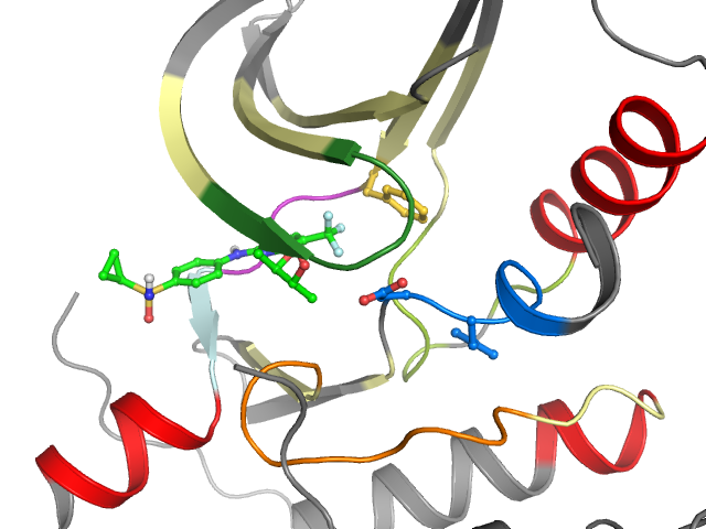 The orthosteric binding pocket