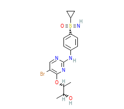 2D structure of the orthosteric ligand