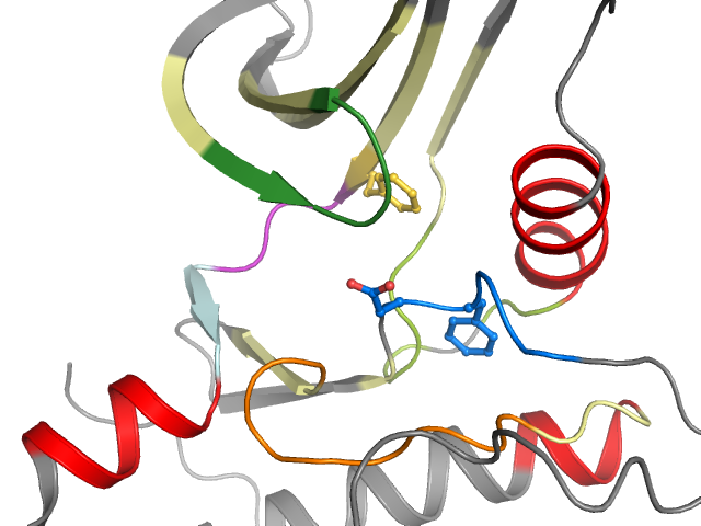 The orthosteric binding pocket