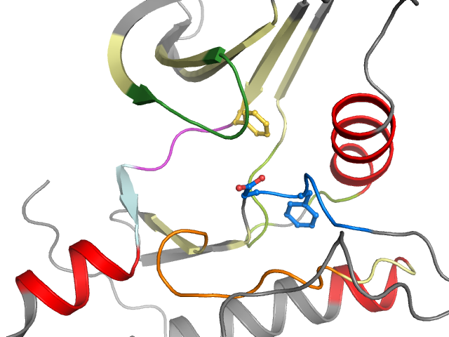 The orthosteric binding pocket