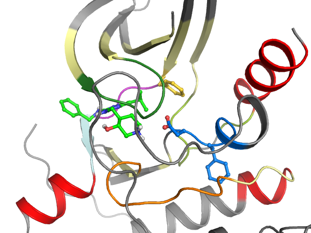 The orthosteric binding pocket