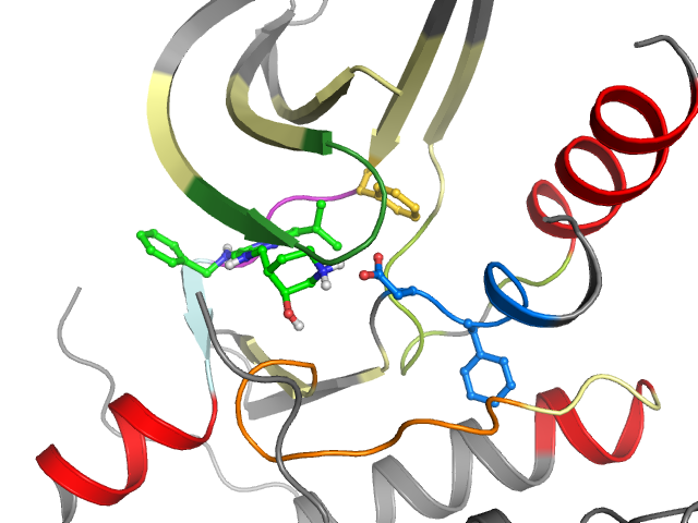 The orthosteric binding pocket