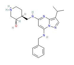 2D structure of the orthosteric ligand
