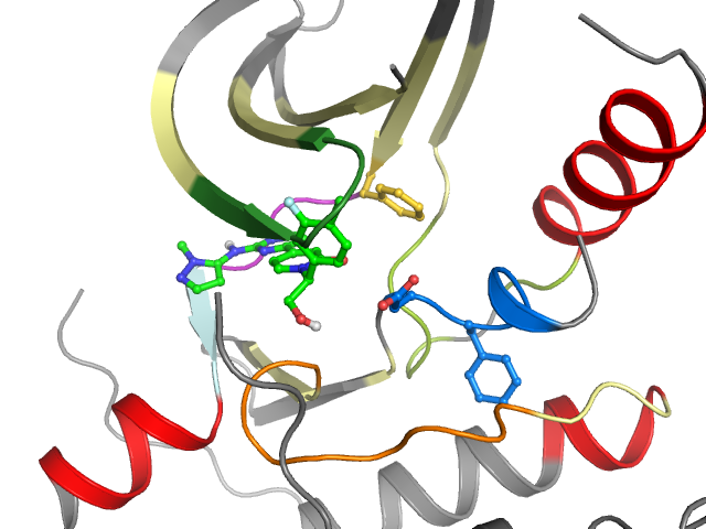 The orthosteric binding pocket