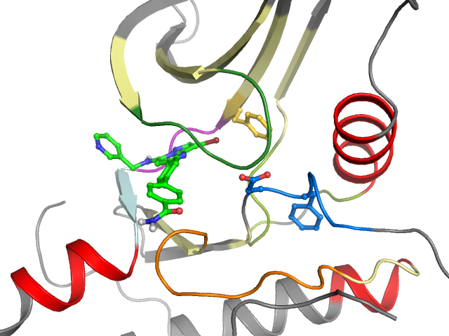 The orthosteric binding pocket