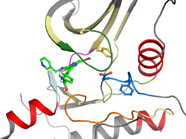 The orthosteric binding pocket