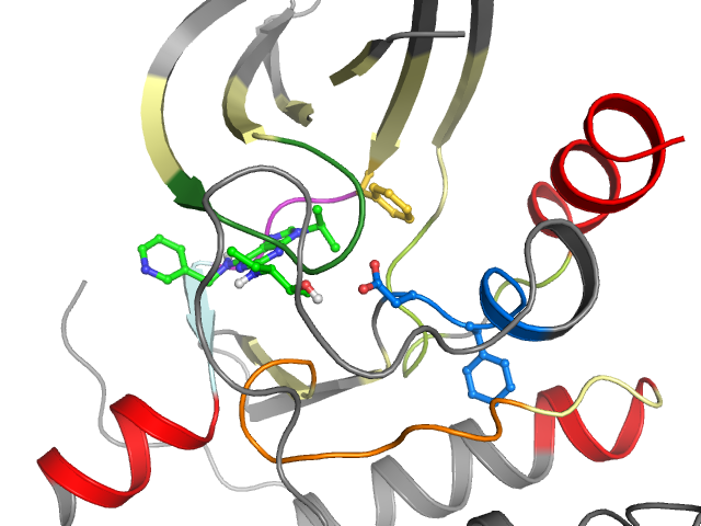 The orthosteric binding pocket