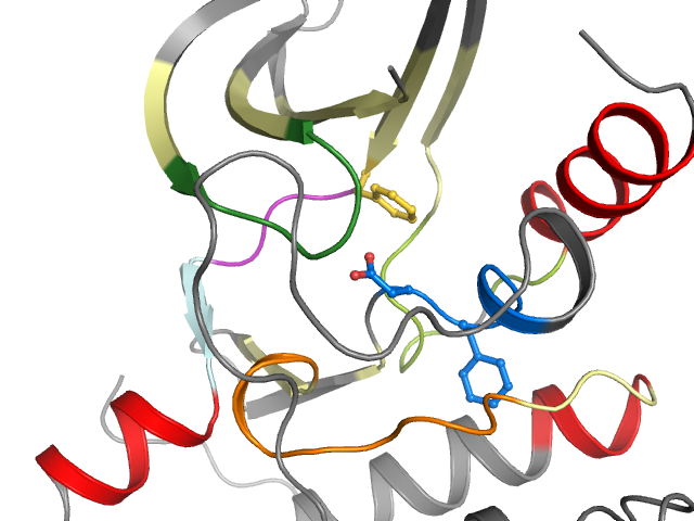 The orthosteric binding pocket