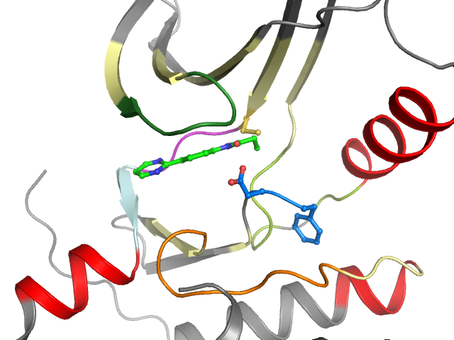 The orthosteric binding pocket
