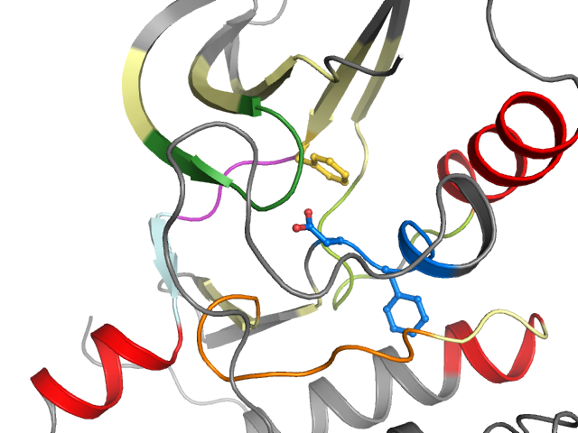 The orthosteric binding pocket