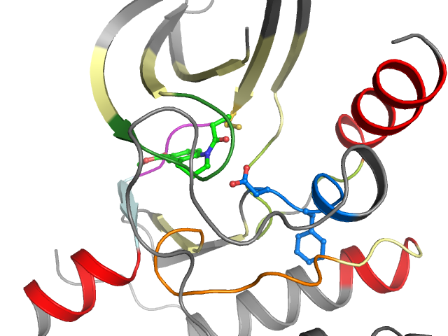 The orthosteric binding pocket