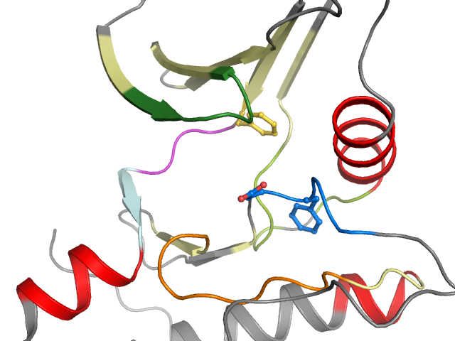 The orthosteric binding pocket