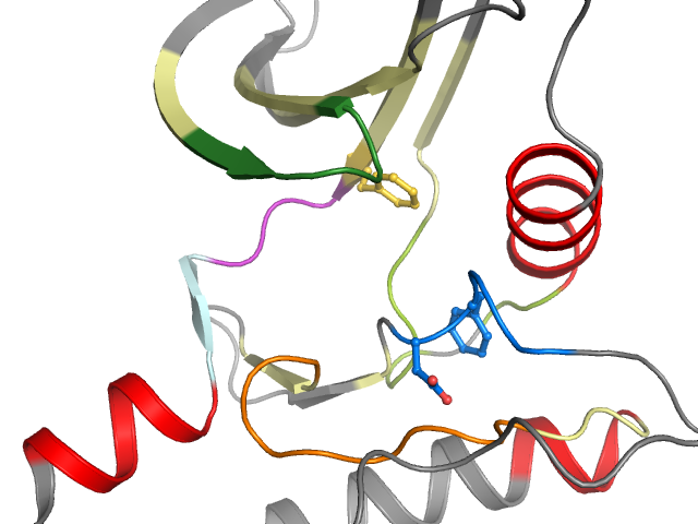 The orthosteric binding pocket