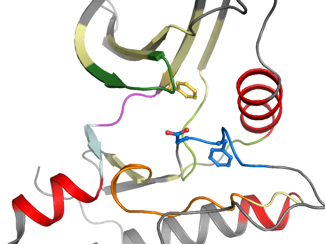 The orthosteric binding pocket