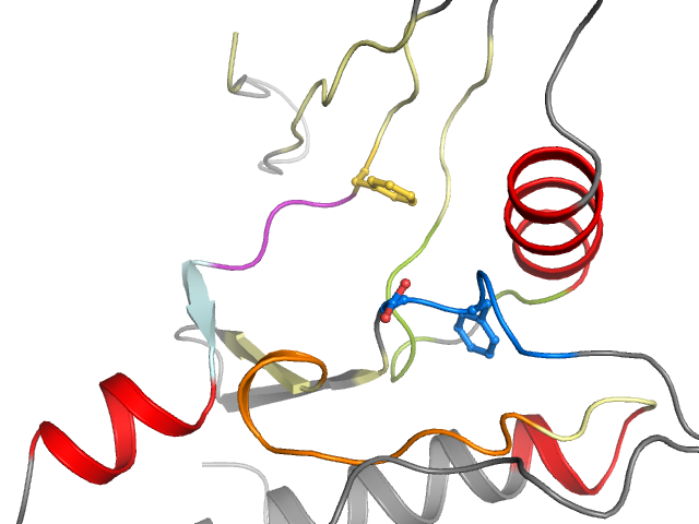 The orthosteric binding pocket