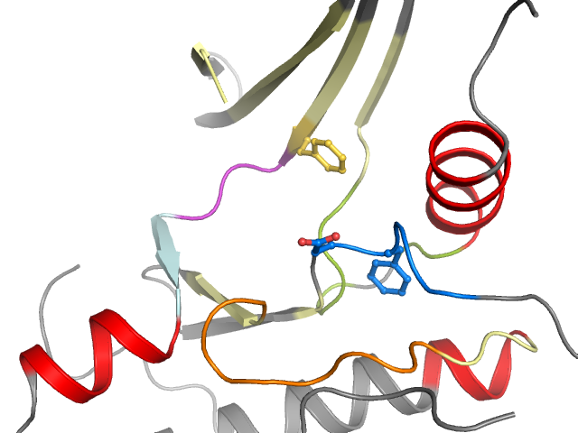 The orthosteric binding pocket