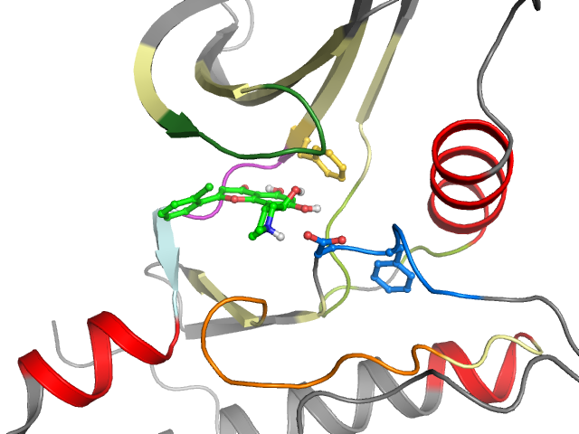 The orthosteric binding pocket