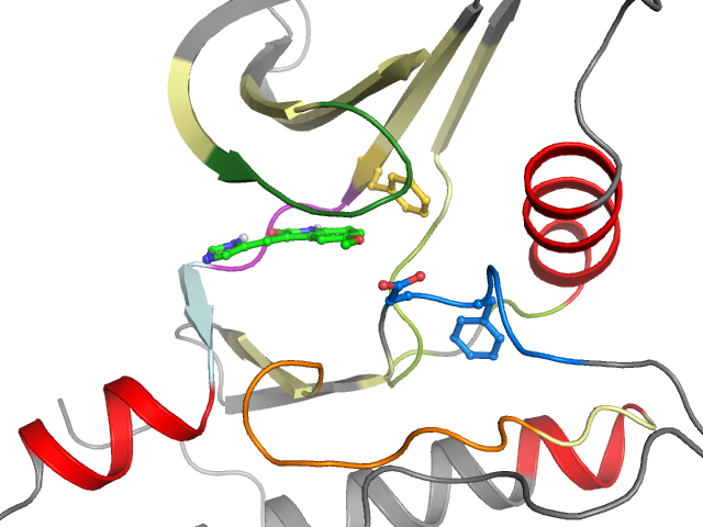 The orthosteric binding pocket