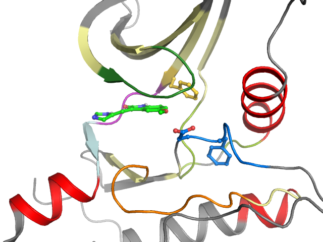 The orthosteric binding pocket